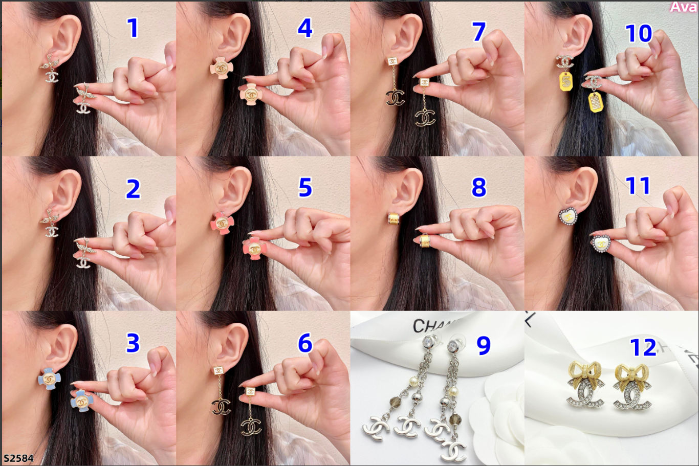 s2584  earrings