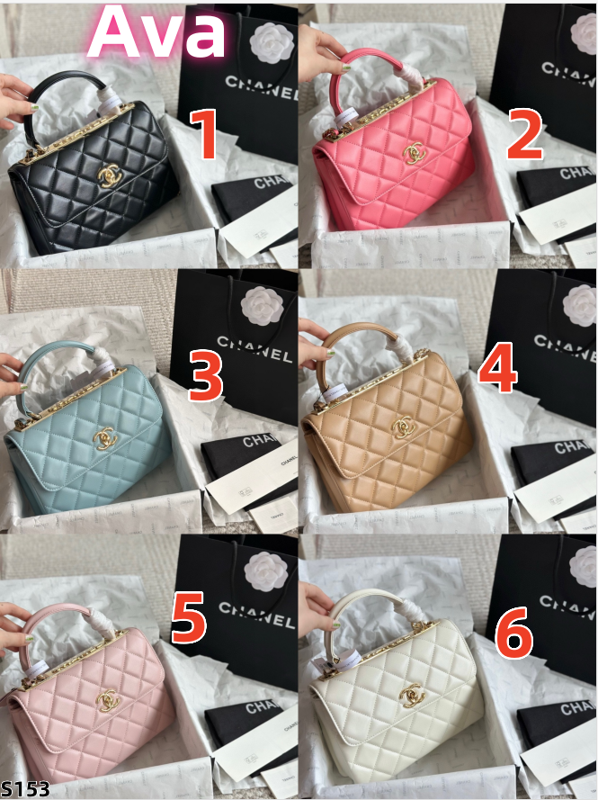 S153  Trendy Vintage Bag