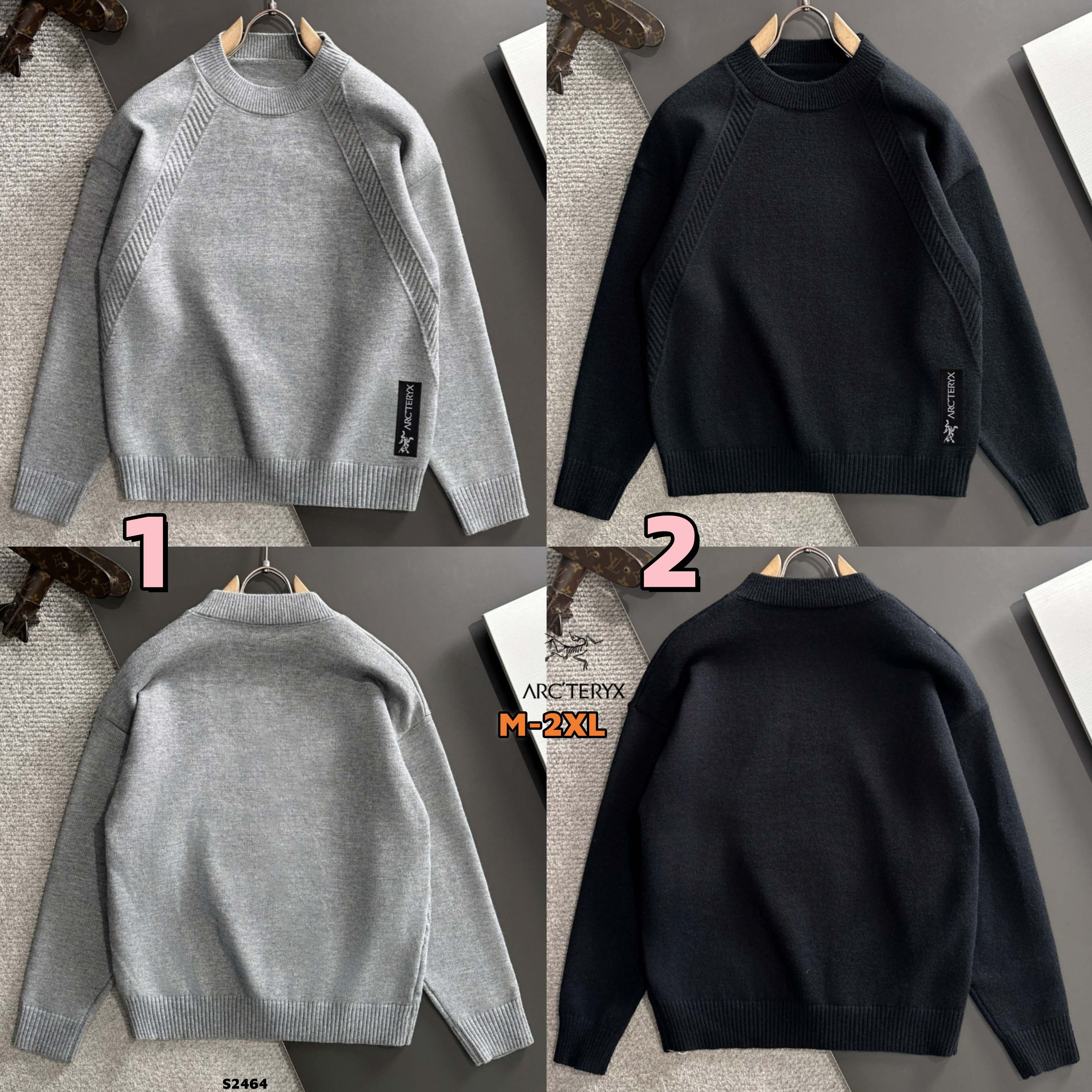 S2464 Archaeopteryx Arc'teryx sweater
