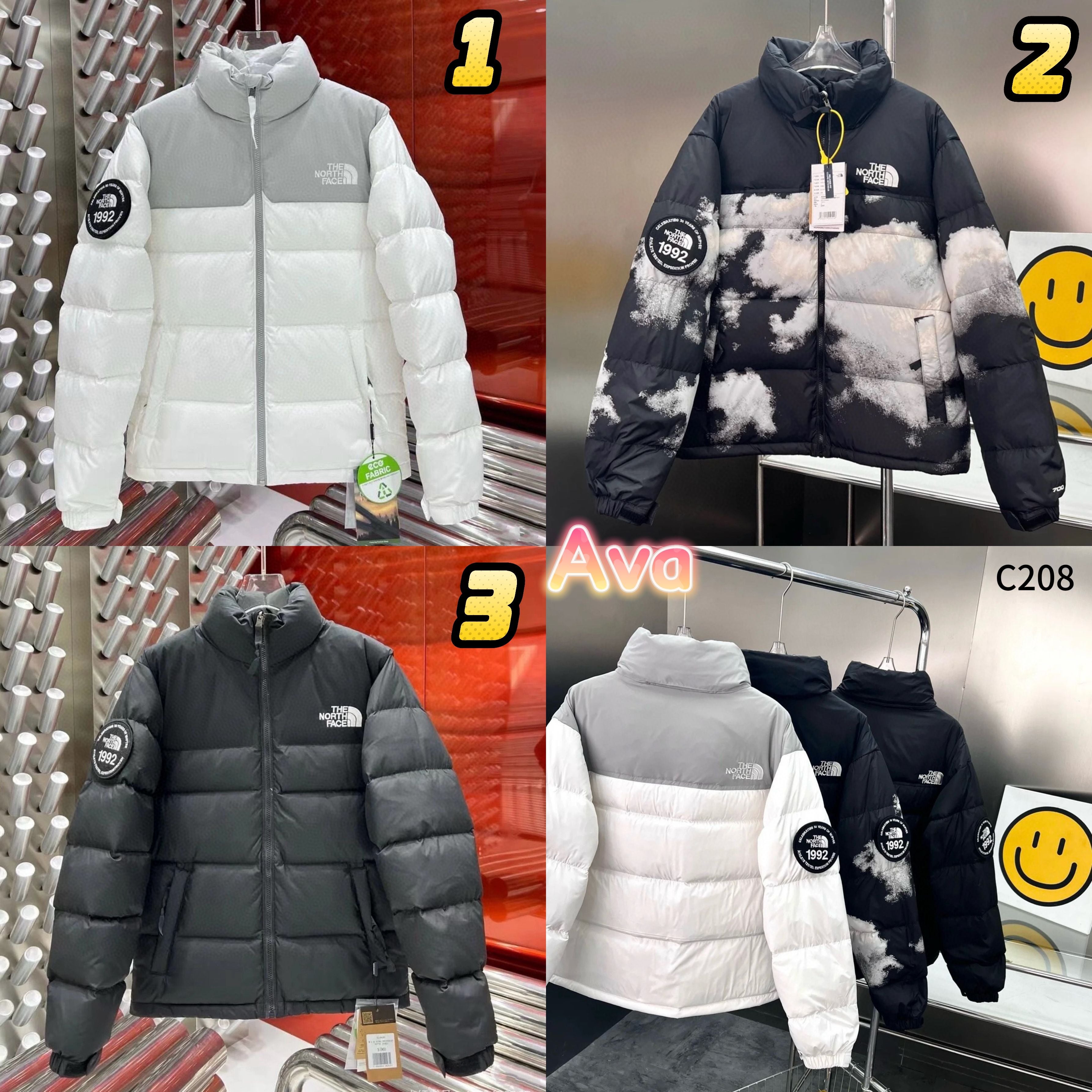 C208 The North Face down jacket