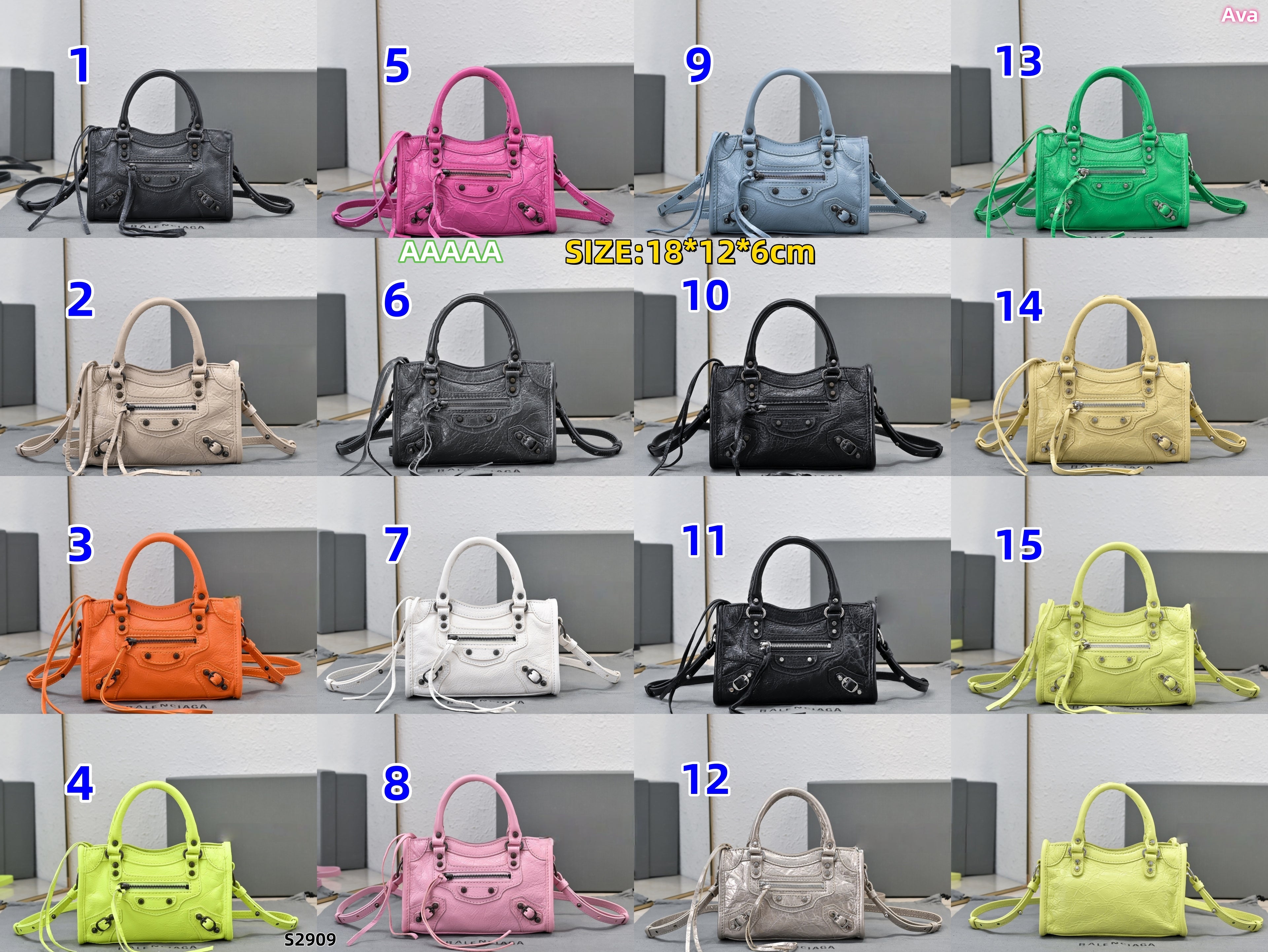 S2909 bag