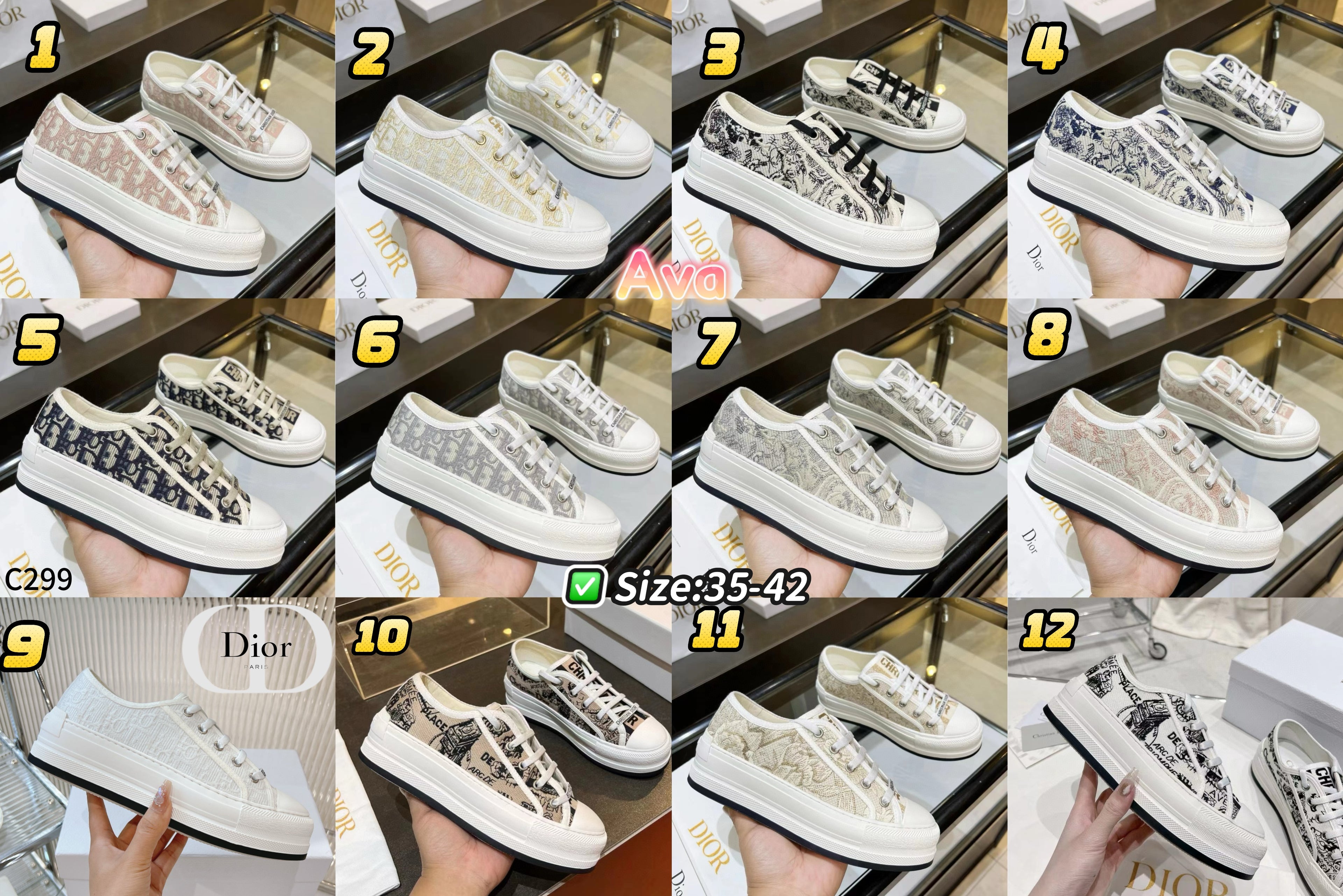 C299 embroidered shoes