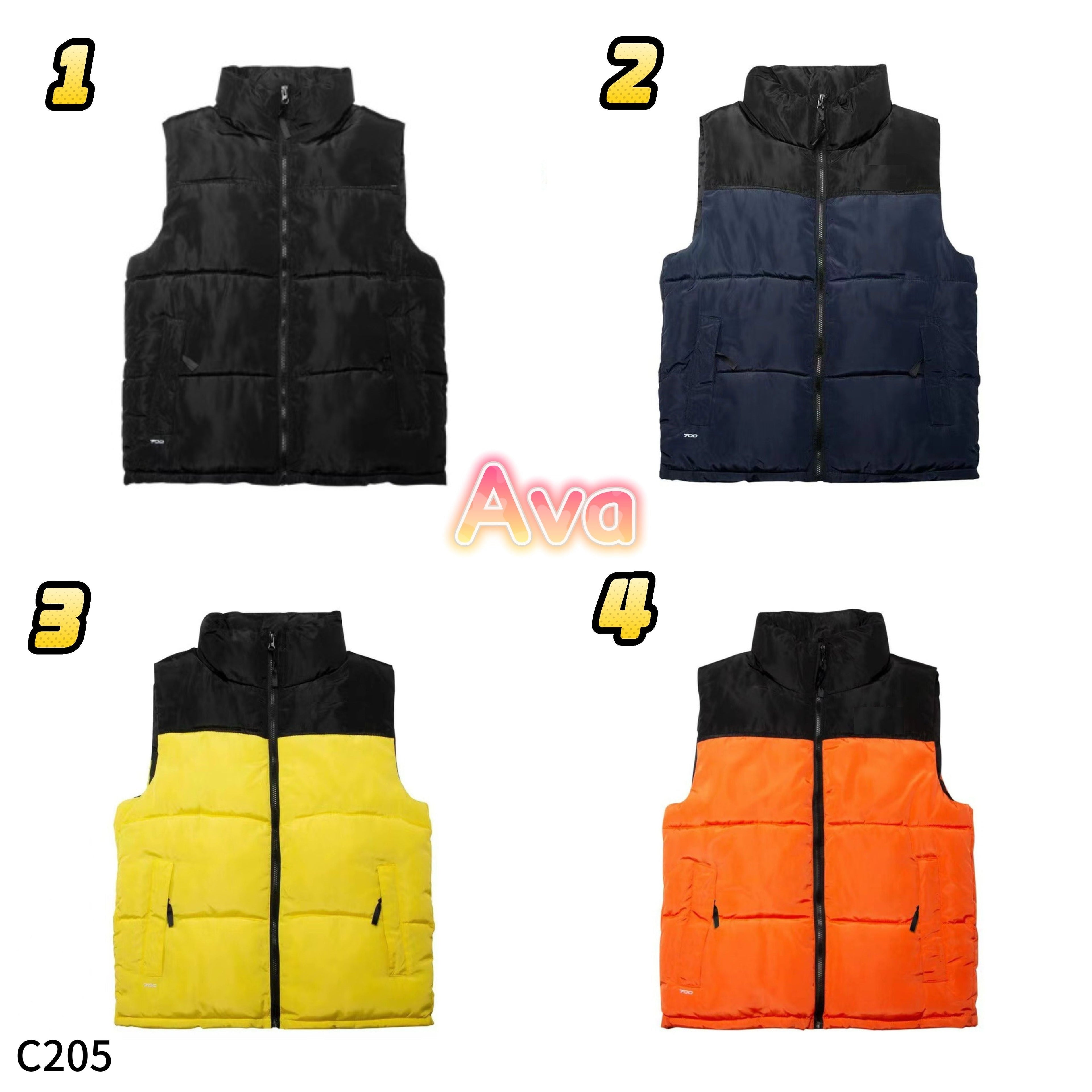 C205 The North Face vest